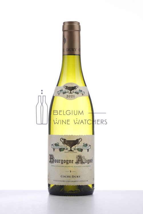 Image de 2021 BOURGOGNE ALIGOTE